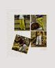 Men and Women's Softshell Outdoor Pants