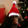 Kitten Accessory Red Pet Christmas Hat Knitted Warm Dog Decorative Cap Cute Pet Costume Festive