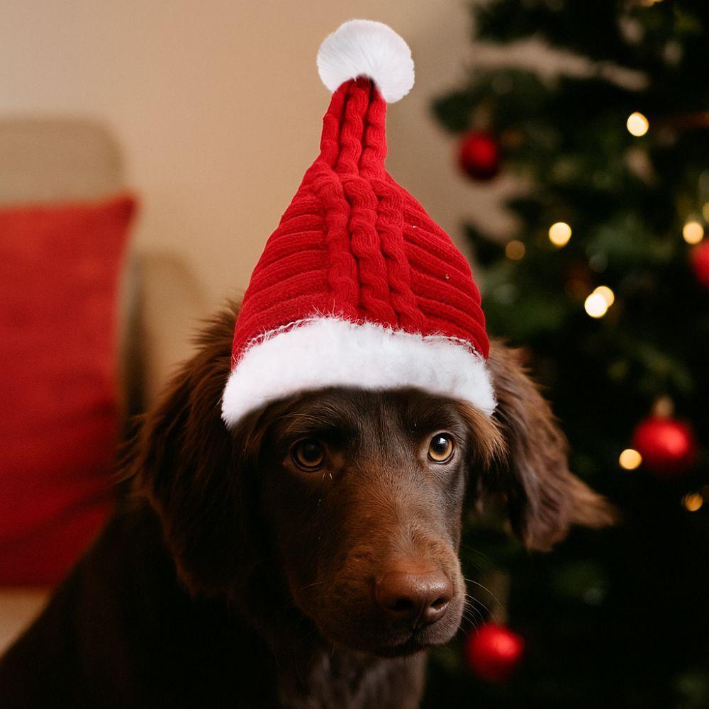 Kitten Accessory Red Pet Christmas Hat Knitted Warm Dog Decorative Cap Cute Pet Costume Festive