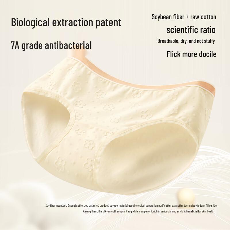 SecretWorld A-Grade Cotton Antibacterial Mid-Waist Briefs