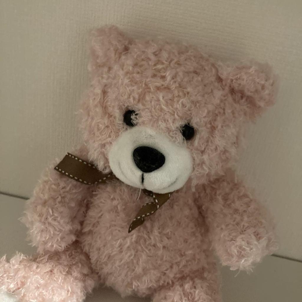 [USED] Pink Teddy Bear