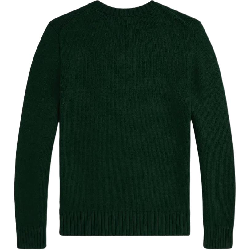 Polo Ralph Lauren Sweater FW25 Crew Neck Pullover Long Sleeve Kids Kids sweater 323978393-001