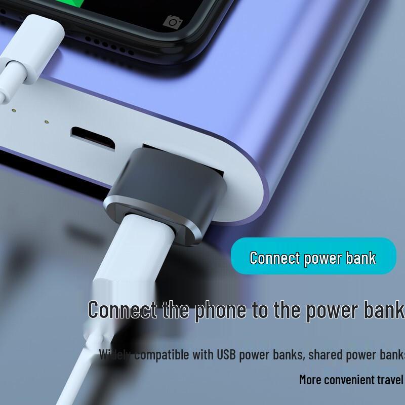 Fast Charging USB to Type-C Adapter for iPhone