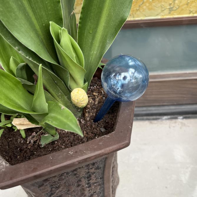 1pc-Circular automatic watering device lazy plant potted garden light bulb watering ball point drip irrigation device