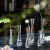 Vaso Trasparente in Vetro Stile Europeo Creativo Bocca Inclinata Artistico Semplice per Piante Idroponiche Fiori Tavolo Decorazione Casa