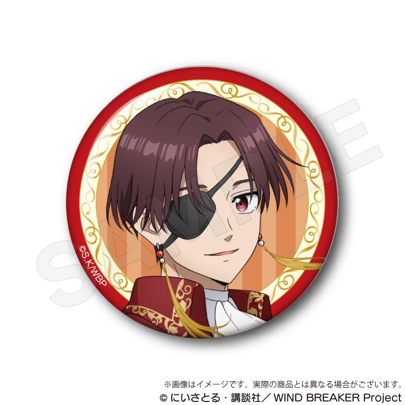 WIND BREAKER Trading Can Badges Magician Box Ver. 5-Piece