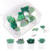 9/20Pcs Creative Succulent Plants Decorative Pushpins DIY Cork Board Tacks  Photo Wall Decor