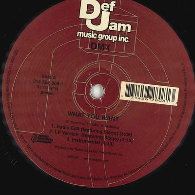 12inch Record DMX - What You Want / Fame 3145628081 DEF JAM 2000 US Rap & Hip-Hop/R&B Used