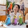 23cm Pappagallo Carino Realistico Animali Stampati Giocattolo Delicato Uccello da Compagnia Colore Vivace Bambola di Peluche Souvenir dello Zoo Accessori per Foto di Festa
