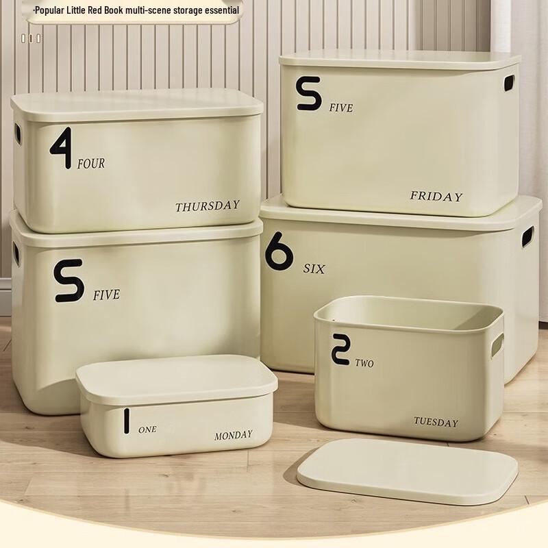 Xingyou Jumbo Desktop Storage Box