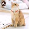 Reflective Nylon Cat Collar with Engraved Metal Buckle