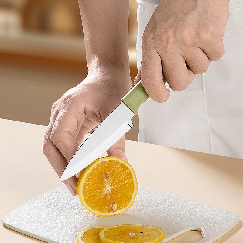 ZISIZ Portable Stainless Steel Fruit Knife & Peeler Set