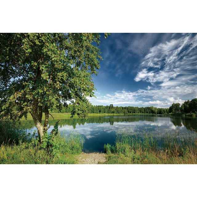 

Зеленый весенний фон с изображением реки и дерева, натуральный цветок, трава, пейзаж, фон для фотостудии, праздничный декор, реквизит для фотосъемки 150X100cm