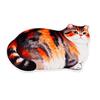 Ginger Cat Bathroom Carpet Russian Blue Floor Mat Entrance Carpet  Living Room Tea Table Bedside