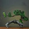 Simulation Fake Tree Bonsai Home Living Room Chinese Sand Table Hotel Porch Landscaping Decoration Green Plant Ornaments