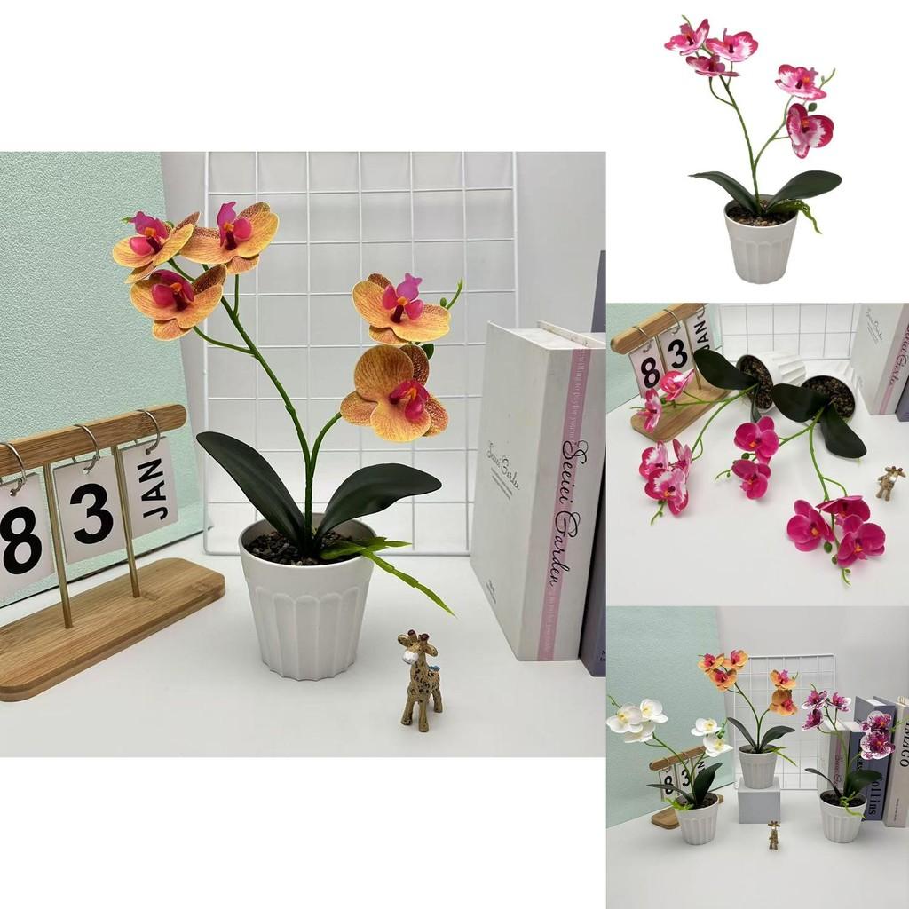 Schmetterlingsorchidee Kunstpflanze mit geprägter Textur für Heimdeko und Wohnzimmerausstellung
