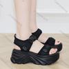Feiern Sie Damen Plateau Sport Sandalen Neue Sommer Damen Schnalle Keilabsatz High Heels Schuhe für Frau Dicke Sohle Uni Sandalen