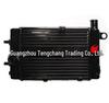 RSV1000 Tuono 02-05 Right Radiator Water Cooler Assembly