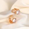 Douyin Popular Small Exquisite Flash Diamond Stud Earrings Niche Design Earrings Earrings Wholesale