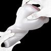 Masturbator für Männer Flugzeug Cup Vibratio Flüssigsilikon Weiß 800g Analoge Tiermodellierung „Weißes Schwein“ Sexspielzeug Penisübung