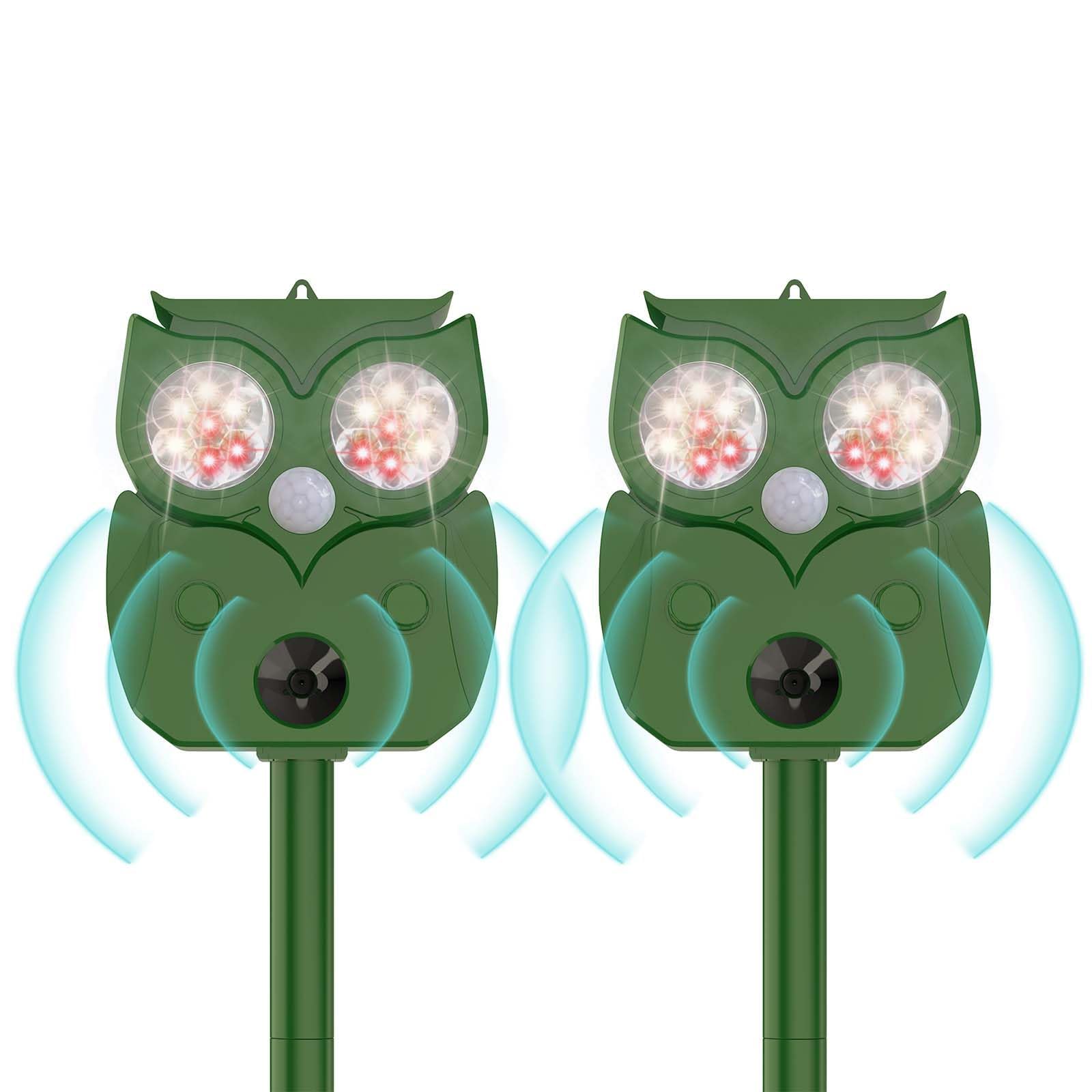 2-Pack