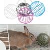 Hanging Chicken Feeder Hamster Rabbit Treat Ball Vegetable String Ball Poultry Fruit Holder with Adjustable Height Stainless Steel Chain Easy Assembly