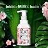 Lux Antibacterial Foaming Hand Wash, Cherry Blossom Scent (2x225ml)