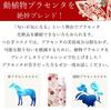 Plazenta-Lotion Tsumugi-Lotion aus japanischer Pferdeplazenta 120ml Tsumugi-Kosmetik Tsumugi LABO