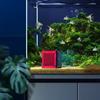 Reusable Aquariums Absorbent Carbon Cubes Odor Eliminating Filter Cubes for Aquariums Filters With Noises Reduction