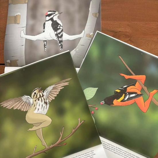 Calendar de perete 2026 Păsări amuzante Calendar de perete de agățat ian.. până în Dec.2026 Planificator de 12 luni Cadou amuzant de Crăciun Cadou Elefant Alb pentru adulți