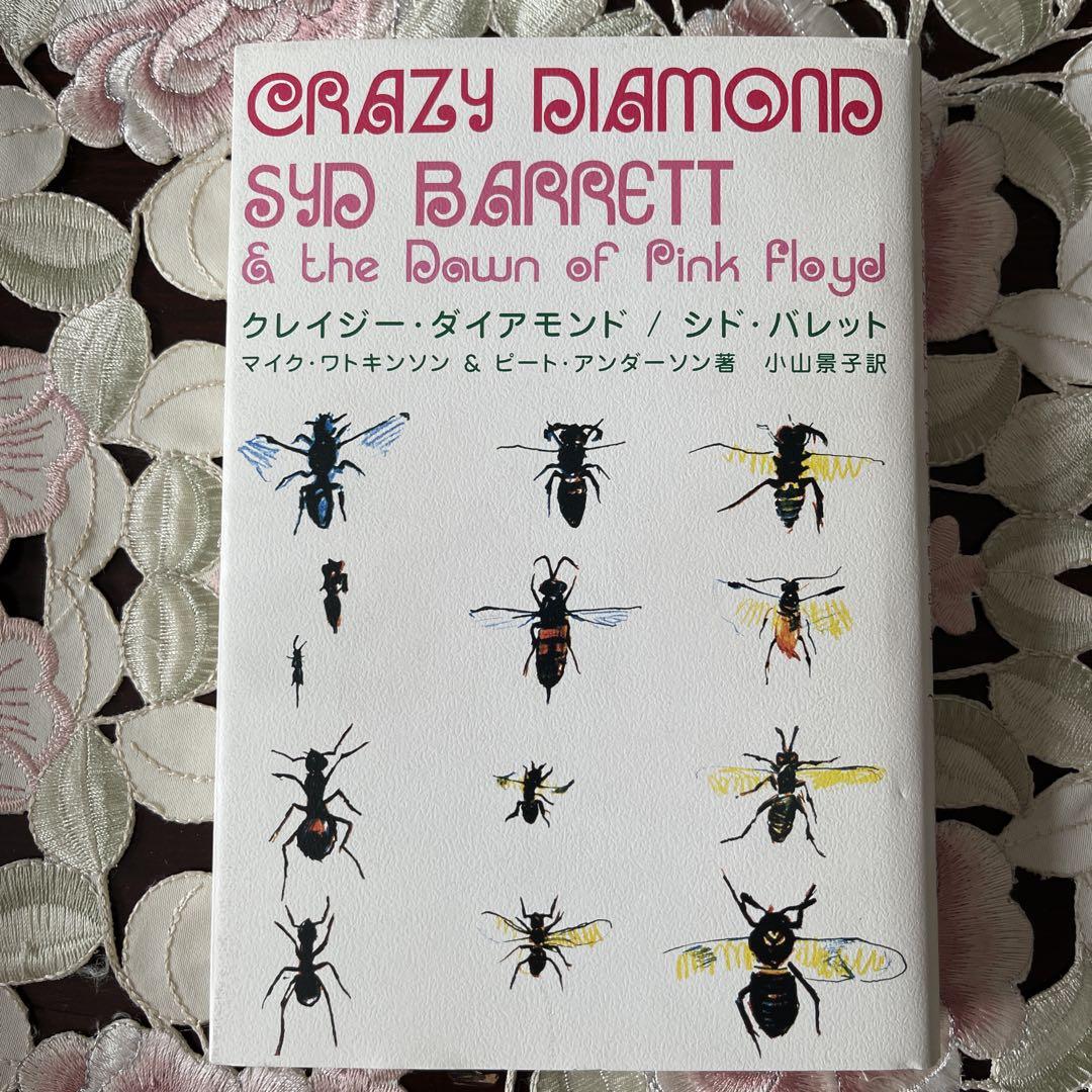 

[USED] Crazy Diamond Syd Barrett