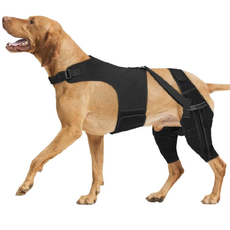 Dog Knee And Hip Support Garment For Joint Weakness And Post Surgeries Care Protective Dog Leg Wrap Support Stabilizer XS