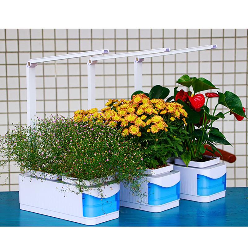 Buy Small Power Full Spectrum LED Grow Light with Hydroponic Box for ...