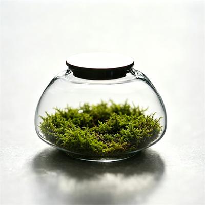 Mech Mikrokrajobraz Mała Szklana Butelka z Pokrywką Terrarium Roślinne Słoik Wazon Pojemnik Dekoracja Domowa Rośliny Zielone