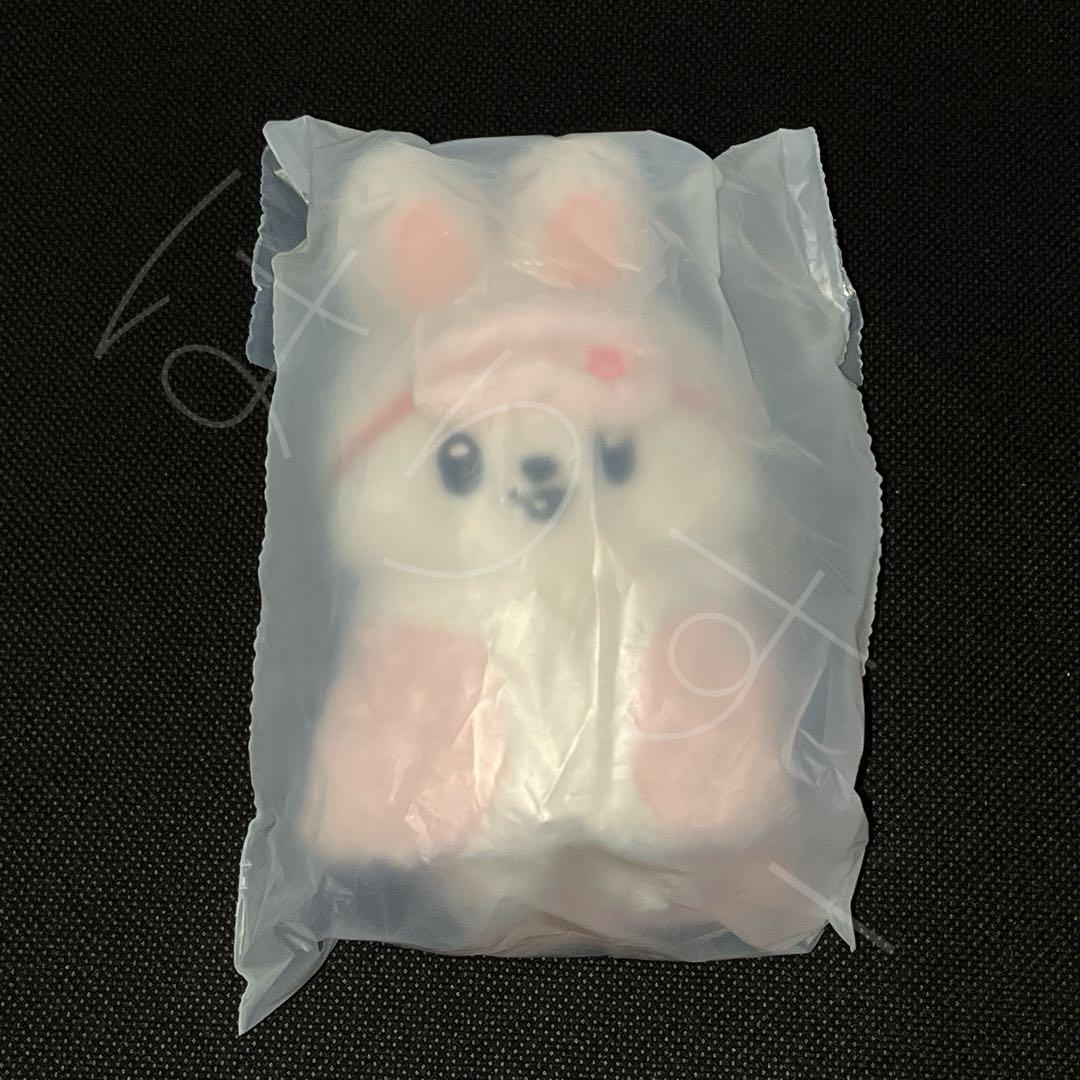 [USED] Stray Kids (SKZ) Lee Know 10cm plushie fan meeting