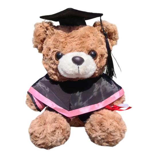 Personalized Graduation Bear Doll 2026 for Her, Soft Plush Teddy with Embroidered Gown, Class of 2026 Graduation Gifts for College High School