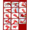 2.5mx5cm Boxing Sports Cotton Strap Bandage Cover Muay Taekwondo Hand Glove Wrap