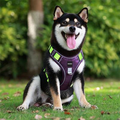 Harnais ultra léger SLC Pet pour petits chiens, chiens de taille moyenne et grands chiens, violet et vert
