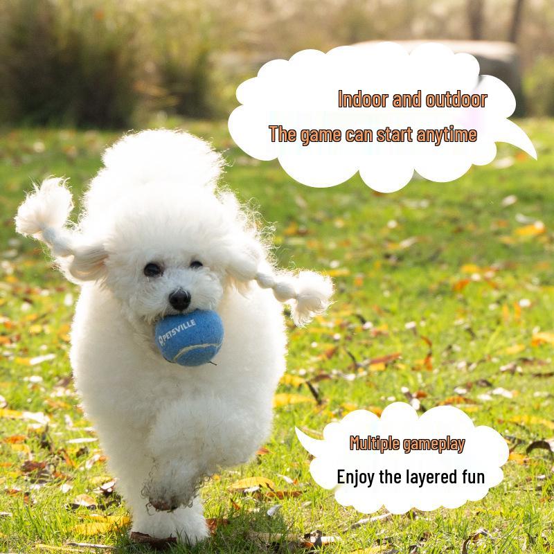 PETSVILLE Interactive Outdoor Tennis Ball Dog Toy - Boredom Buster, Durable Design