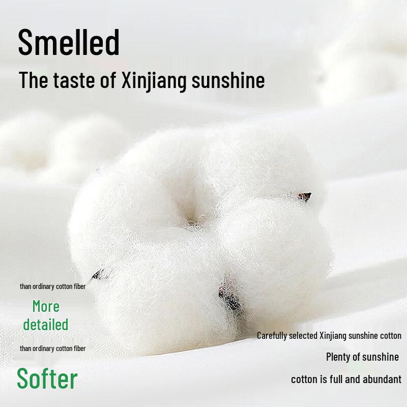 Urban Beauty Women's Anti-bacterial Cotton Boyshorts 3-Pack