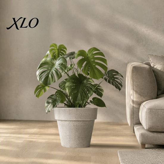 Sun Proof Anti Aging Plant Containers Round Large Planter with Drainage Hole, 12 Inch Dia Stone-Look Flower Thickened Durable Pots for Office