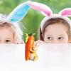 Colorful Resin Rabbit Statue Handmade Simulation Bunny Rabbit Holding Carrot Sculpture Resin Cute Easter Bunny Figurine