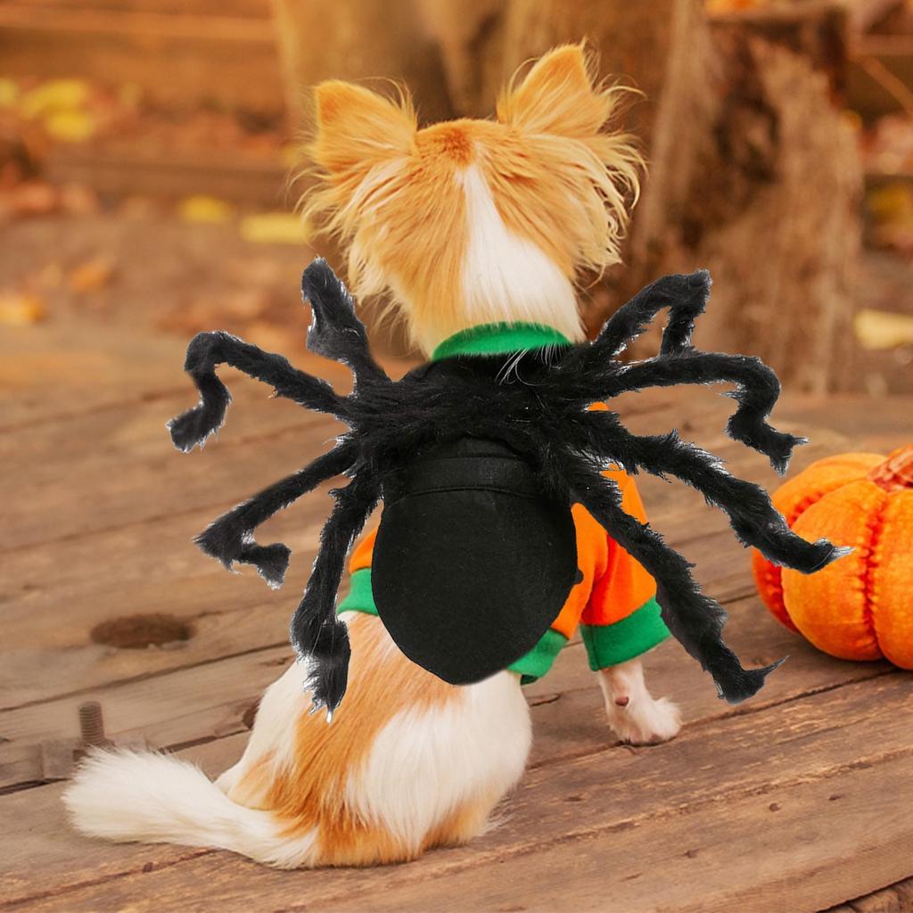 Kostium Pająka Dla Psów Strój Cosplay Rekwizyty Przebranie na Halloween Ubranka na Imprezę Halloweenową Rekwizyty do Przebrania kostium dla zwierzęcia