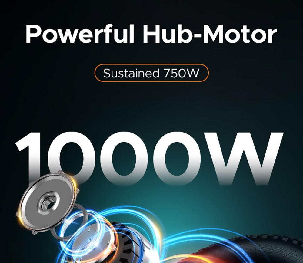 ENGWE M20 2*13Ah Batteries 20*4.0 inch Tires 750W Brushless Motor 45km/h Max Speed Front & Rear Disc Brakes