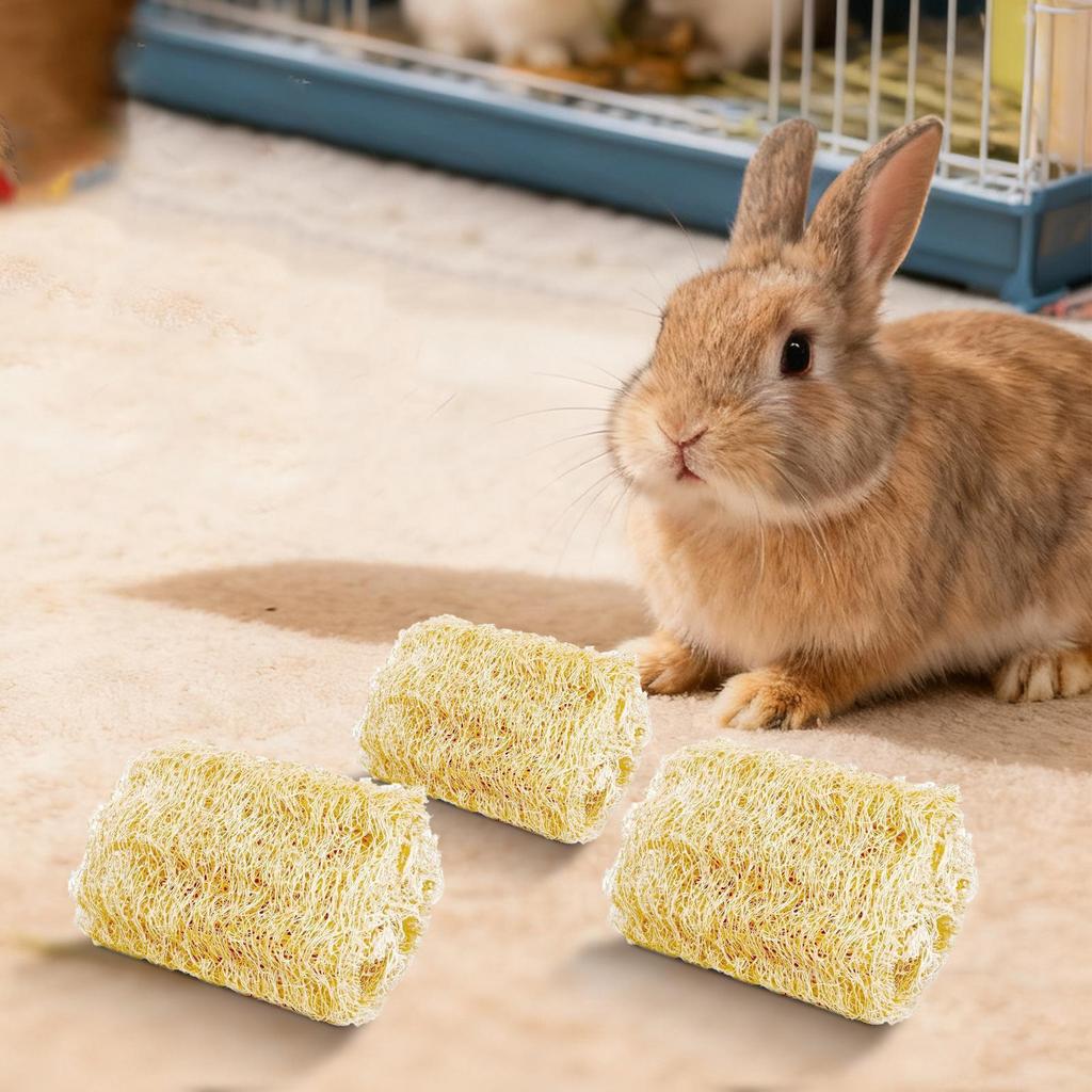 Tuggleksaker för kaniner 4 stycken Luffa Kanin Leksaker Smådjurs Tuggleksak För Husdjursägare Djurhem Butiker Katter Hundar