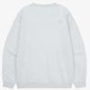 The North Face Mens Core Sweatshirt Nm5mr00a