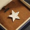 The New Product Is Exquisite and Compact, Full of Diamonds, Golden Five-pointed Star Brooch, Versatile, Simple and Versatile Star Small Pin, Collar Pi