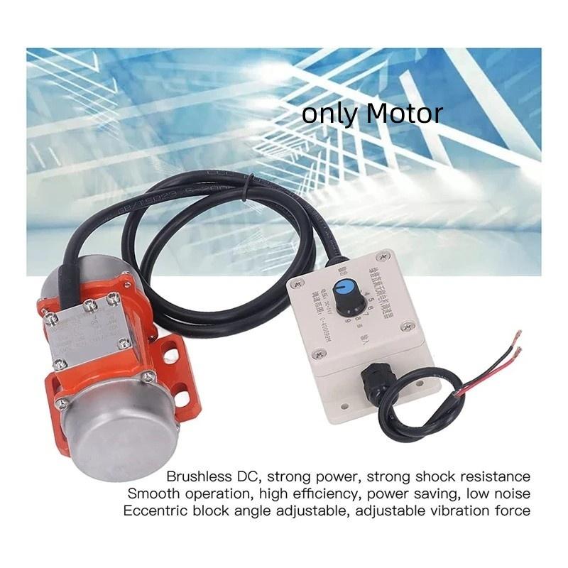Strong Poewr Brushless Motor DC 12V 24V Electric Engine Concrete Vibrator High Frequency Vibrator Eccentric Motor