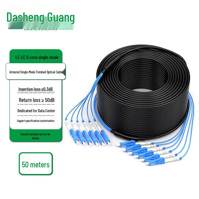 Dasheng Optic Outdoor Armored Single-mode LC-LC Fiber Optic Cable