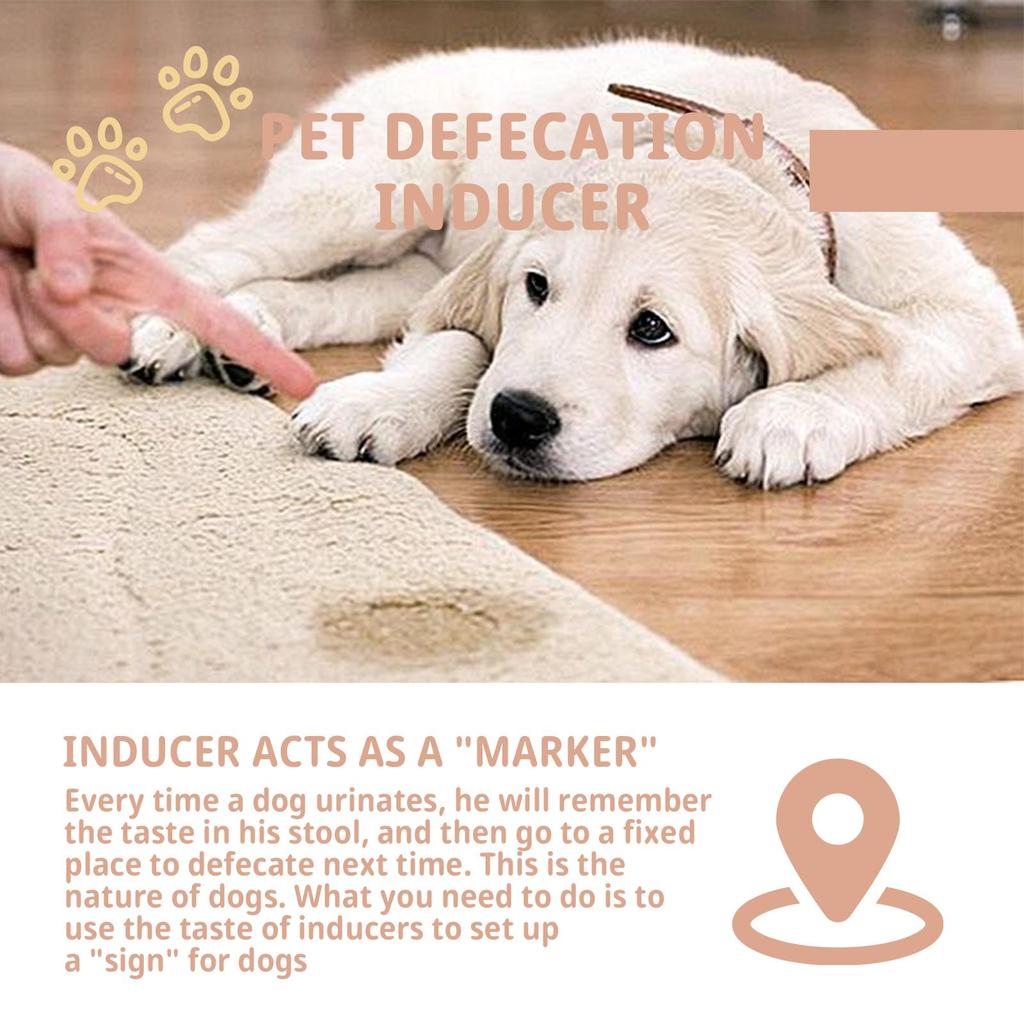 Jaysuing Pet Potty Training Spray 30ml Cats & Dogs - Pet Toilet Training Spray/Pet Potty Trainer/Pet Toilet Training Agent